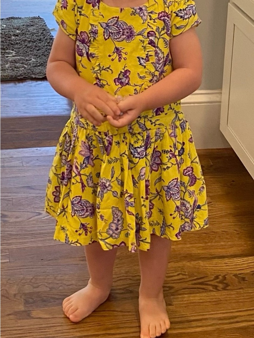 Janie and Jack Toddler Girl Aurora Floral Ruffle dress (2T)